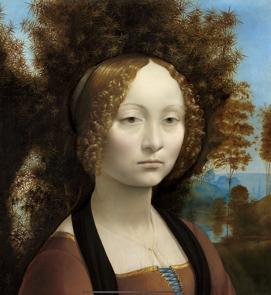 Leonardo da Vinci Master of Art Science and Innovation 1