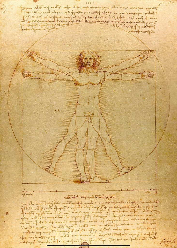Leonardo da Vinci Master of Art Science and Innovation 3