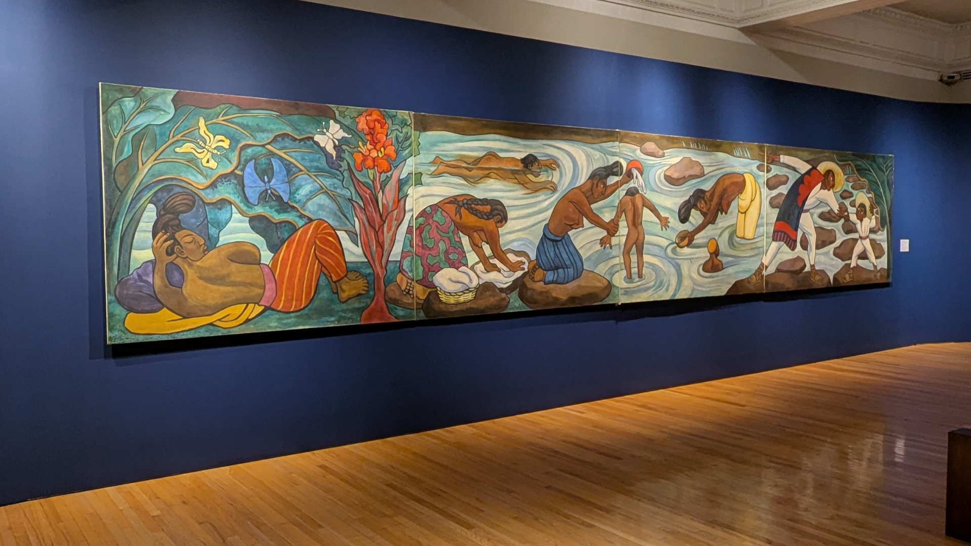 Peek inside the Munal - Mexico City